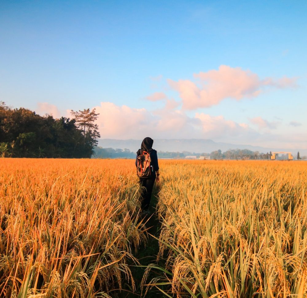 Woman in Black Hijab Headscarf Walking on Field
